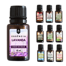 Kit 10 Essências Hidrossolúveis 15ml – Para Umidificador, Difusor e Aromatizador Elétrico